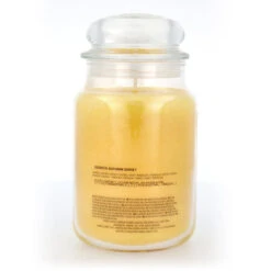 Yankee Candle Autumn Sunset Duftkerze Großes Glas 623 G -Dambiro Verkäufe yankee candle autumn sunset duftkerze grosses glas 623 g3