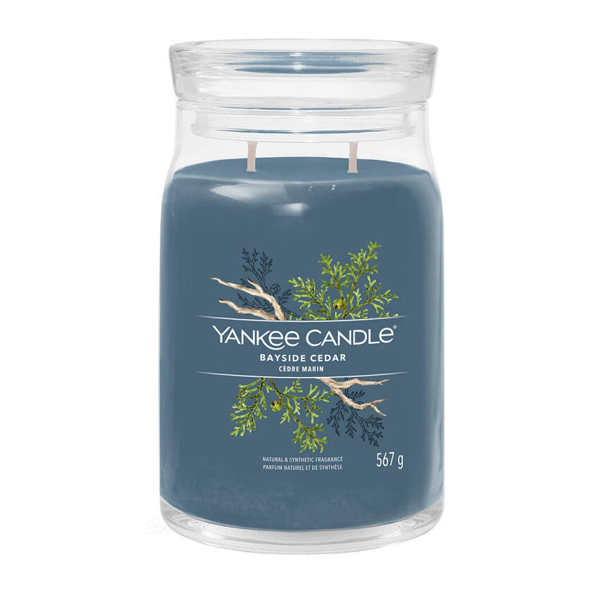 Yankee Candle Bayside Cedar Signature Duftkerze Großes Glas 567 G 3 Yankee Candle Bayside Cedar Signature Duftkerze Großes Glas 567 G