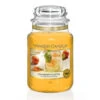 Yankee Candle Calamansi Cocktail Duftkerze Großes Glas 623 G -Dambiro Verkäufe yankee candle calamansi cocktail grosses glas 623 g duftkerze